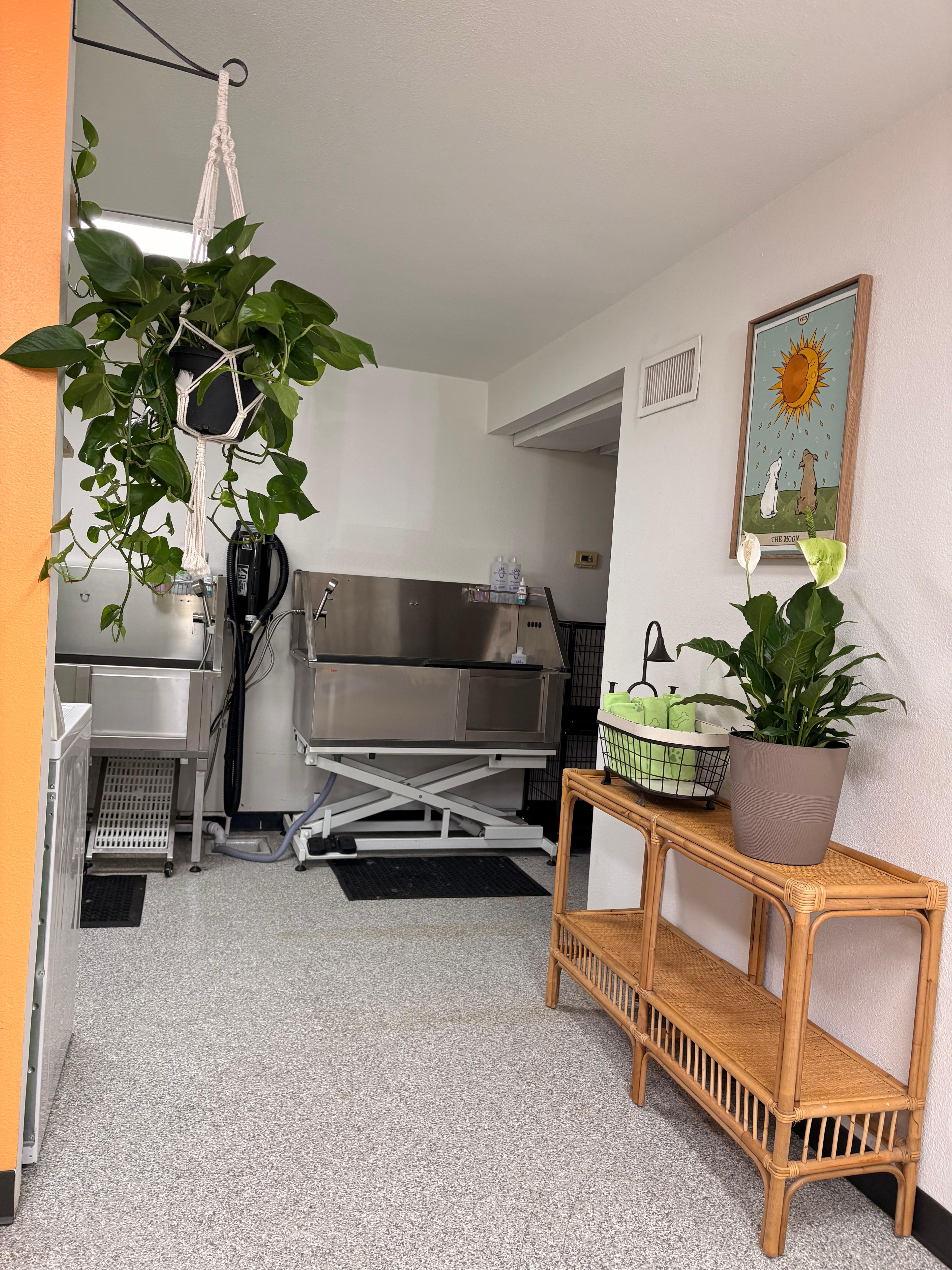 The Waggin Oasis facility